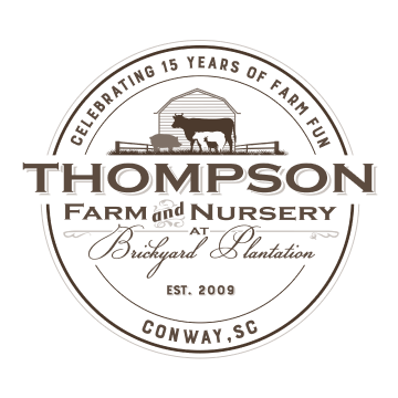 https://brickyardmarketingllc.com/wp-content/uploads/2025/08/Thompson-Farm-New-Logo-Square.png